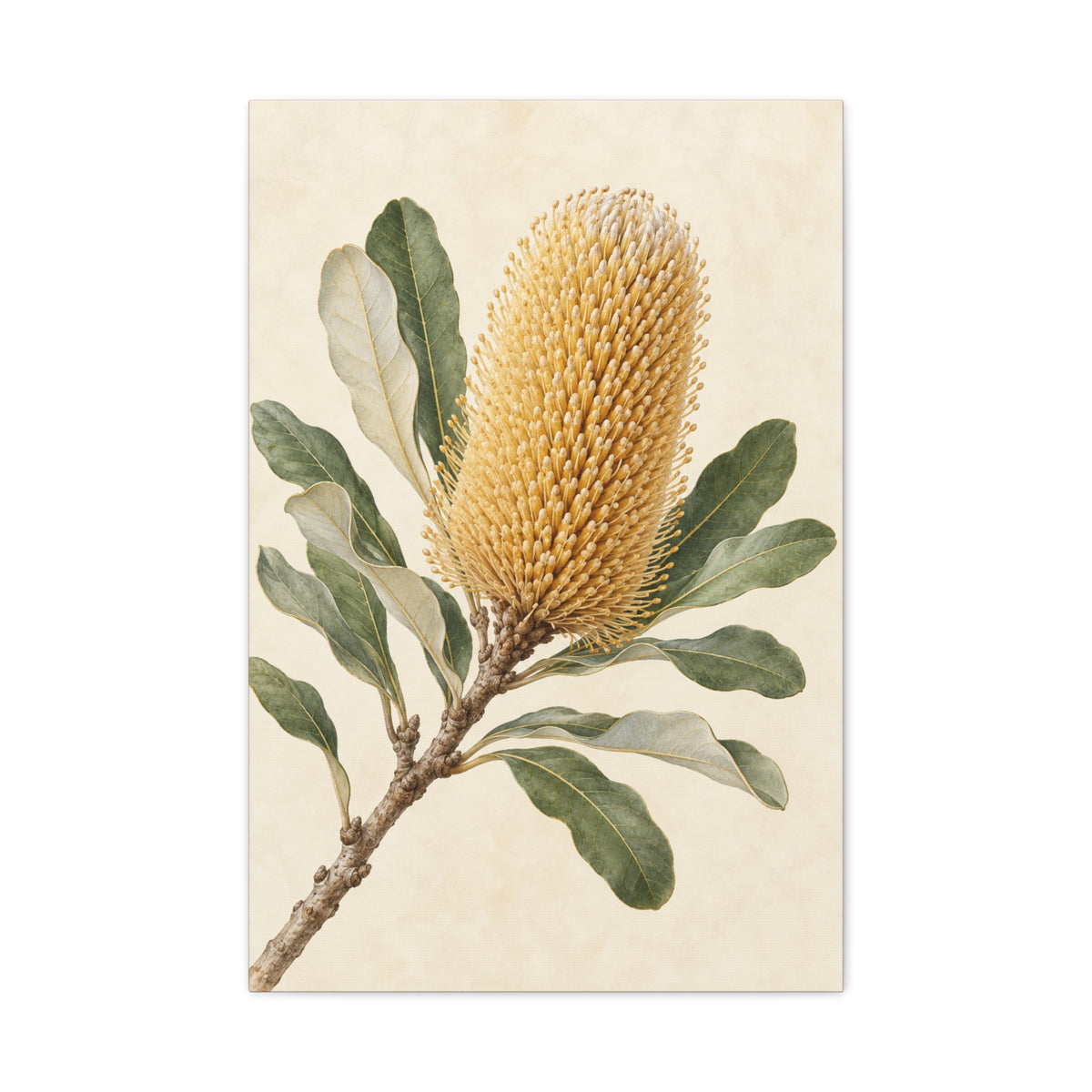 Banksia at Daybreak canvas wall art by MAK ATELIER