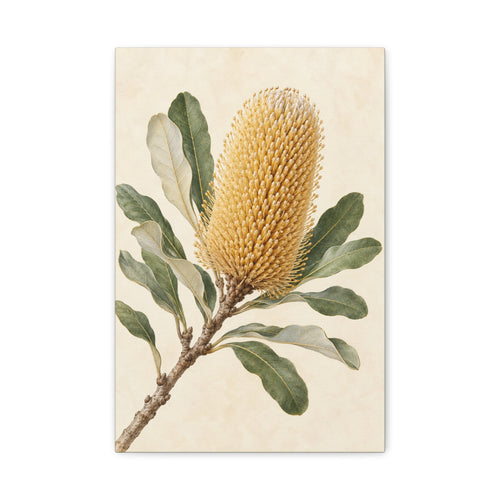 Banksia at Daybreak canvas wall art by MAK ATELIER