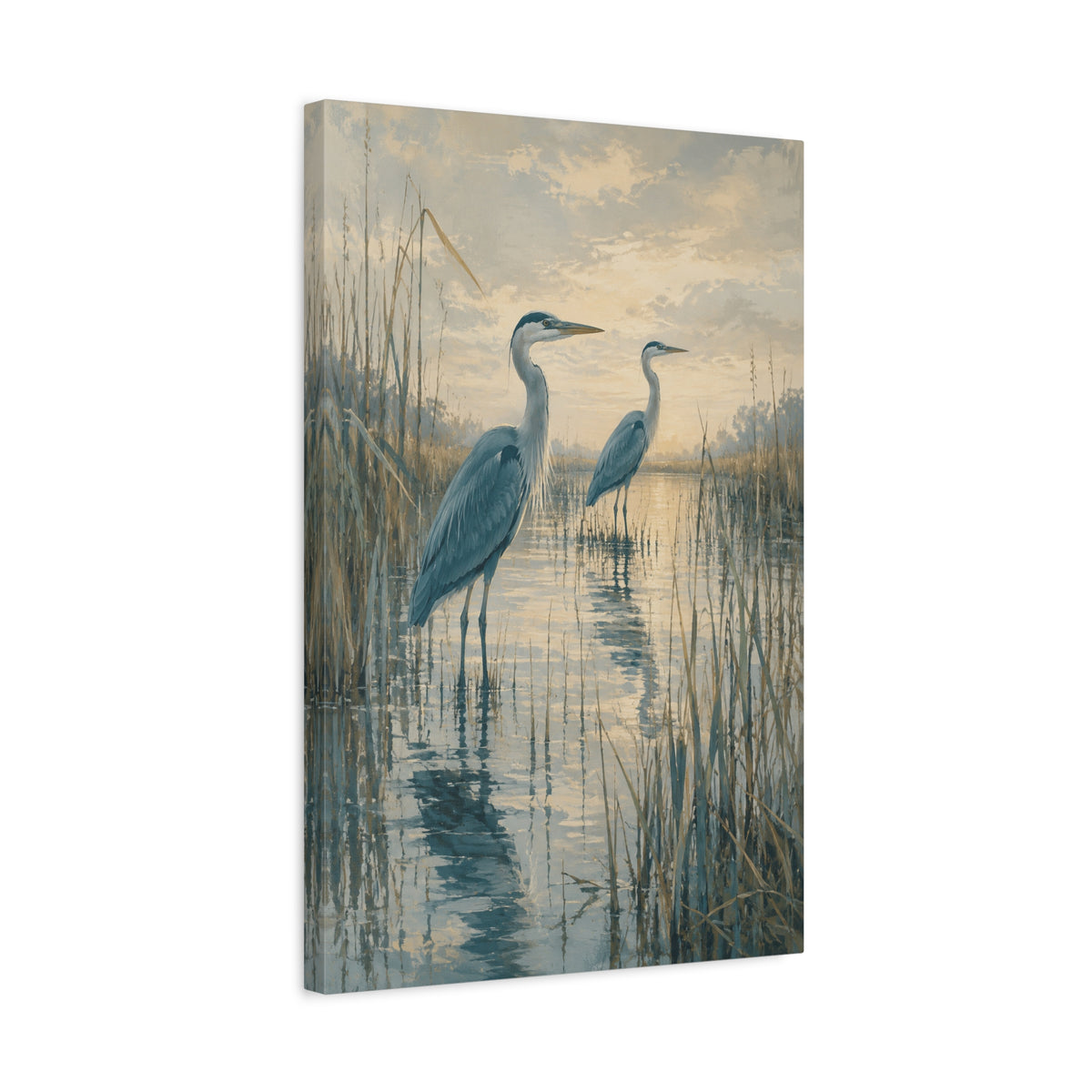Two in the Reeds canvas print — Two herons stand among reeds and still water, one slightly forward and one farther back.