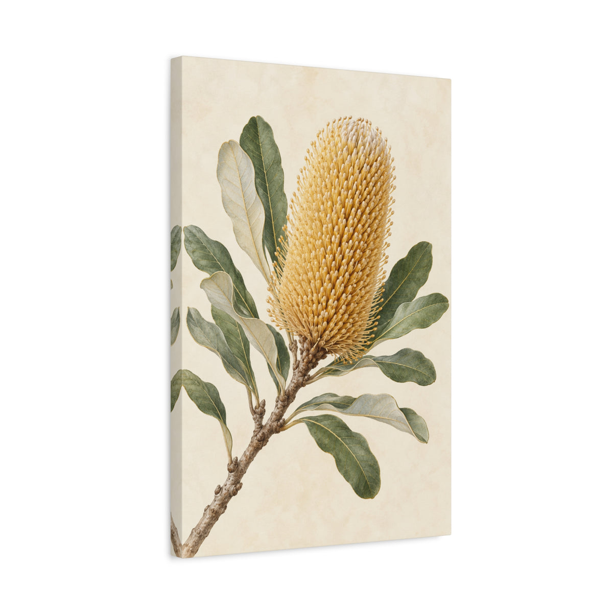 Banksia at Daybreak canvas wall art by MAK ATELIER